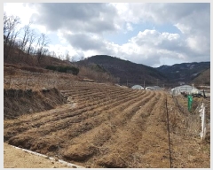  2025Ÿ��155 ��� �Ǽ��� ����� ������ 90      ����(��1)���