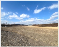  2025Ÿ10015 뱸   踮 1071      õ