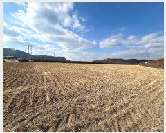  2025Ÿ10015 뱸   踮 1071      õ