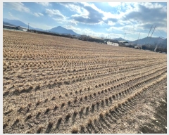  2025Ÿ10015 뱸   踮 1071      õ