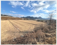  2025Ÿ10015 뱸   踮 1071      õ