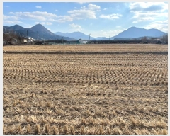  2025Ÿ10015 뱸   踮 1071      õ