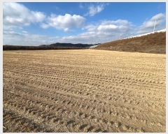  2025Ÿ10015 뱸   踮 1071      õ