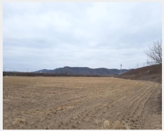  2025Ÿ10015 뱸   踮 1071      õ