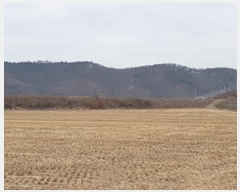  2025Ÿ10015 뱸   踮 1071      õ