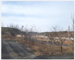  2025Ÿ��10039  �����