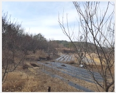  2025Ÿ��10039  �����