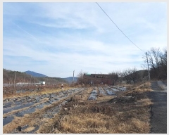  2025Ÿ��10039  �����