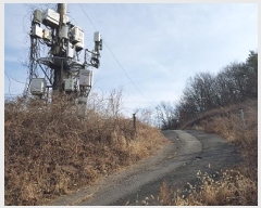  2025Ÿ��10039  �����