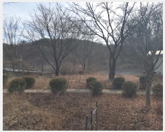  2025Ÿ��10039  �����