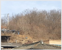  2025Ÿ��10039  �����