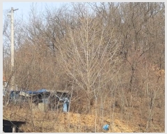  2025Ÿ��10039  �����