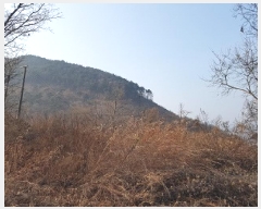  2025Ÿ��10053  �����