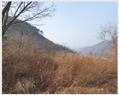  2025Ÿ��10053  �����