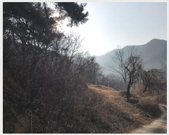  2025Ÿ��10053  �����