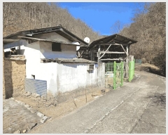  2025Ÿ��10111 ��� �Ǽ��� �Ǽ��� �󸮸� 120      ����(����)���