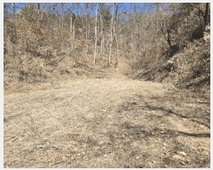  2025Ÿ��10111 ��� �Ǽ��� �Ǽ��� �󸮸� 120      ����(����)���