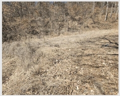  2025Ÿ��10111 ��� �Ǽ��� �Ǽ��� �󸮸� 120      ����(����)���