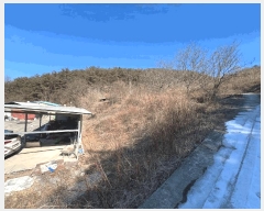  2025Ÿ��10113  �Ӿ߰��