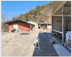  2025Ÿ��10113  �Ӿ߰��