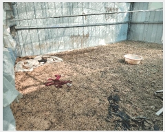  2025Ÿ��10113  �Ӿ߰��