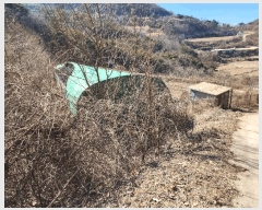  2025Ÿ��10113  �Ӿ߰��