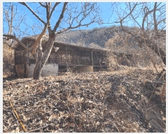  2025Ÿ��10113  �Ӿ߰��