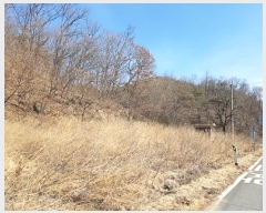  2025Ÿ��10127 ��� �Ǽ��� ���� �۽¸� 576-3      ����(����)���