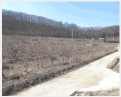  2025Ÿ��10131  ����