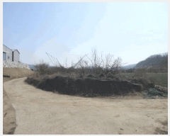  2025Ÿ��10131  ����