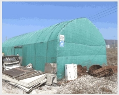  2025Ÿ��10131  ����