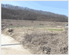  2025Ÿ��10131  ����