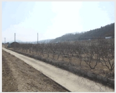  2025Ÿ��10131  ����