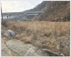  2025Ÿ��10133  ����