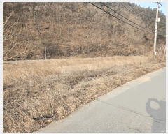  2025Ÿ��10133  ����