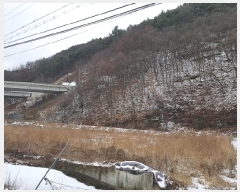  2025Ÿ��10133  ����