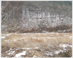  2025Ÿ��10133  ����