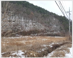  2025Ÿ��10133  ����