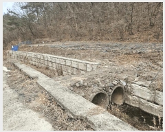  2025Ÿ��10137  �����