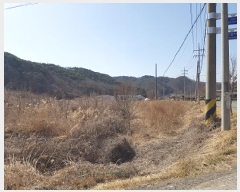  2025Ÿ��10137  �����