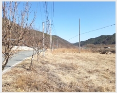  2025Ÿ��10137  �����