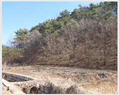  2025Ÿ��10137  �����