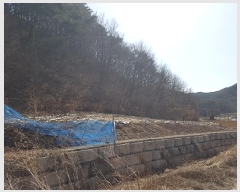  2025Ÿ��10137  �����