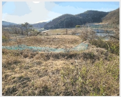  2025Ÿ��10155 �뱸 ������ �Һ��� ���渮 224      ����(��1)���