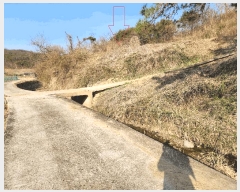  2025Ÿ��10155 �뱸 ������ �Һ��� ���渮 224      ����(��1)���