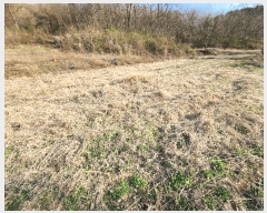  2025Ÿ��10155 �뱸 ������ �Һ��� ���渮 224      ����(��1)���