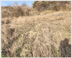  2025Ÿ��10155 �뱸 ������ �Һ��� ���渮 224      ����(��1)���