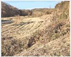  2025Ÿ��10155 �뱸 ������ �Һ��� ���渮 224      ����(��1)���