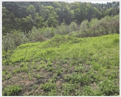  2025Ÿ��10161  ����