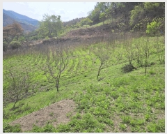  2025Ÿ��10161  ����